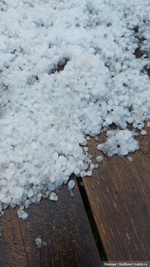 Приключения Жорджика на даче