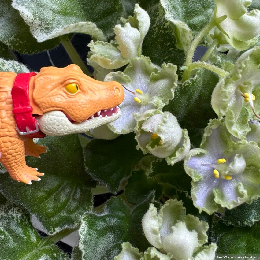 Крокодил Gachapon — Коллекционные фигурки (разное): животные (фото 3)