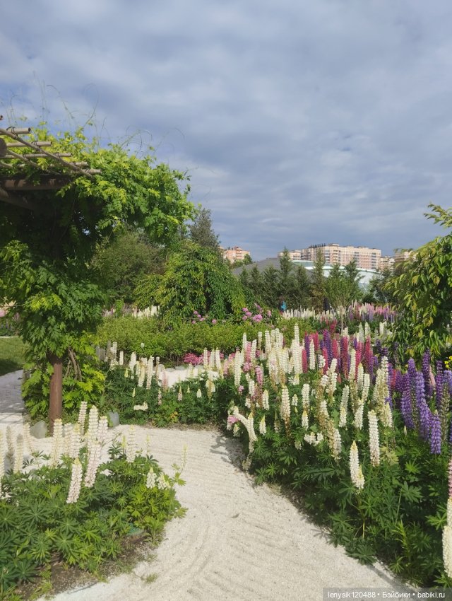 Японской сад. Парк Галицкого. Перезагрузка часть 3
