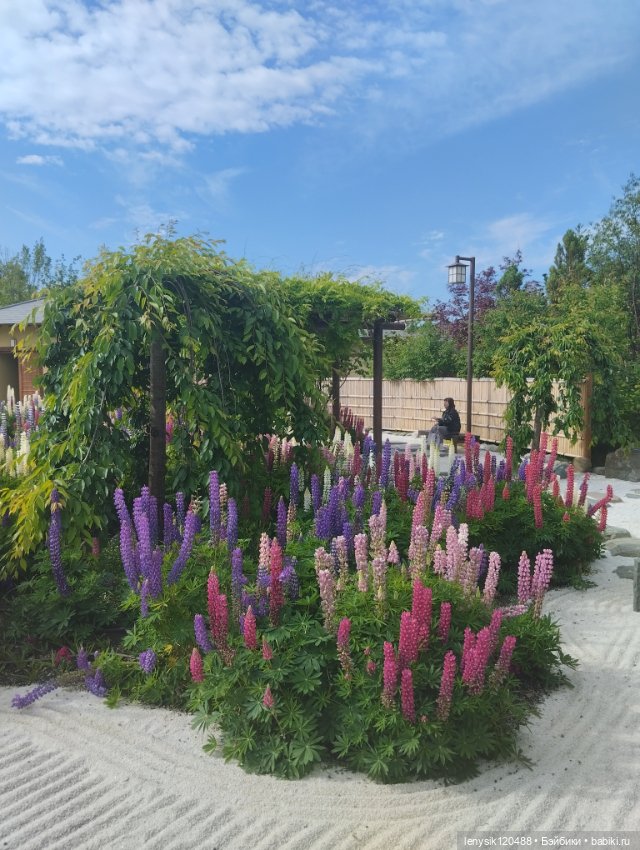 Японской сад. Парк Галицкого. Перезагрузка часть 3