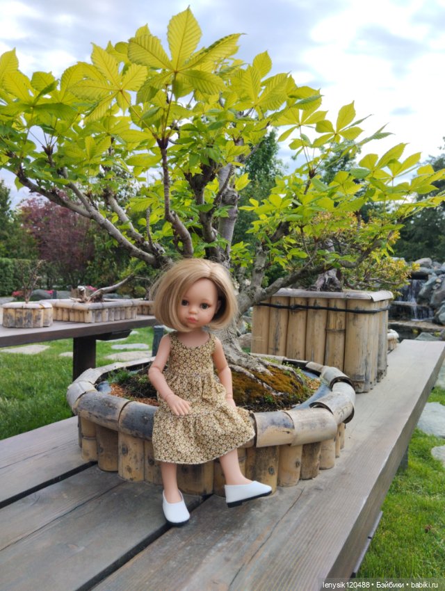 Японской сад. Парк Галицкого. Перезагрузка часть 3 (фото 8)