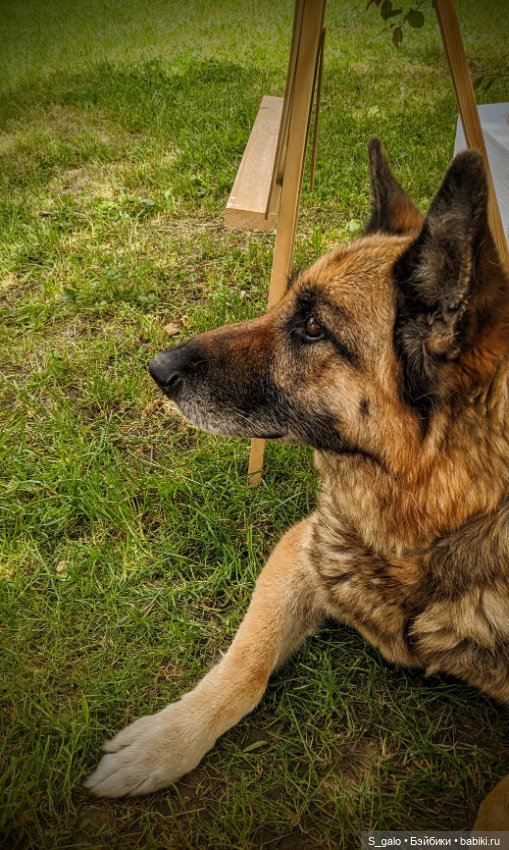 Рыжулька-2, псевдоПаола — Игровые куклы разных производителей (Разное): редкие бренды (фото 5)