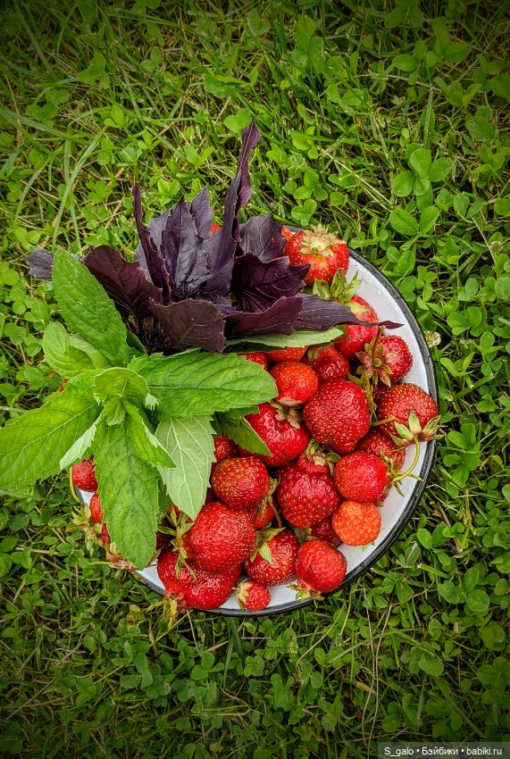 Рыжулька-2, псевдоПаола — Игровые куклы разных производителей (Разное): редкие бренды (фото 10)