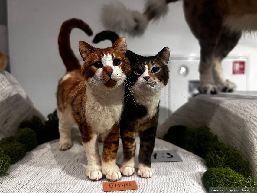 Dollscar. Часть 1 — Выставки кукол и мишек Тедди: фоторепортажи