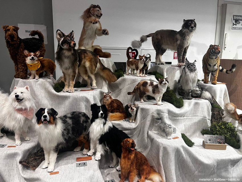 Dollscar. Часть 1 — Выставки кукол и мишек Тедди: фоторепортажи