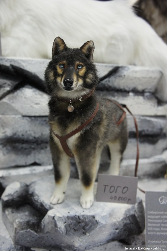 Dollscar 2024. Фото отчет о выставке. Часть 2