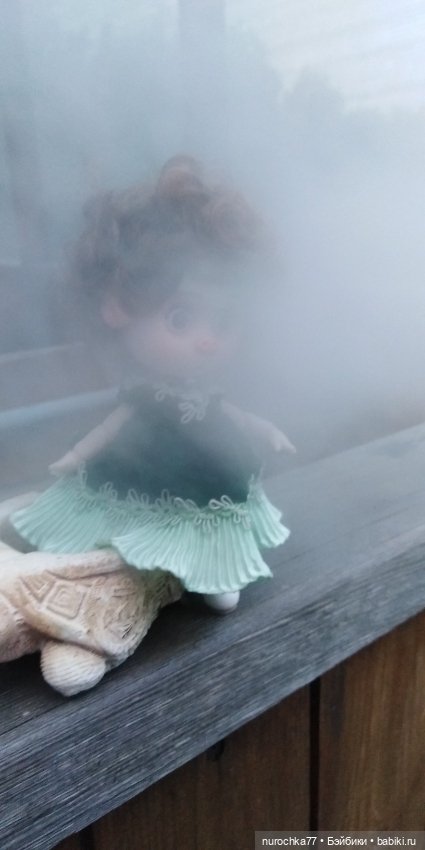 Счастливые Свинка и Хозяйка (фото 6)