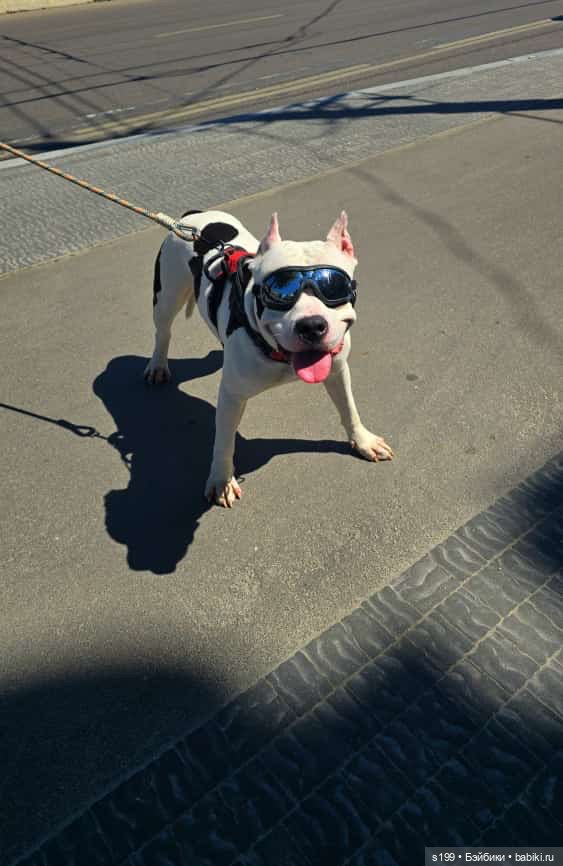 Отпуск с Рыбкой — Игровые куклы разных производителей (Разное): редкие бренды