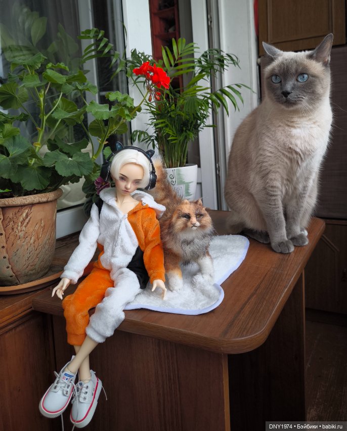 Алан и котики — Куклы Fairyland (ФэйриЛэнд): BJD (БЖД)