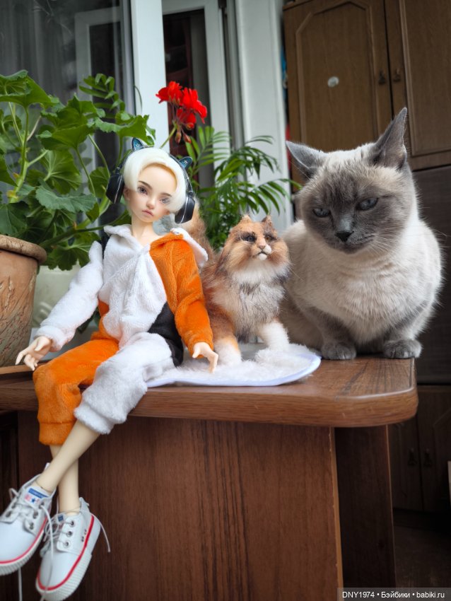 Алан и котики — Куклы Fairyland (ФэйриЛэнд): BJD (БЖД) (фото 2)