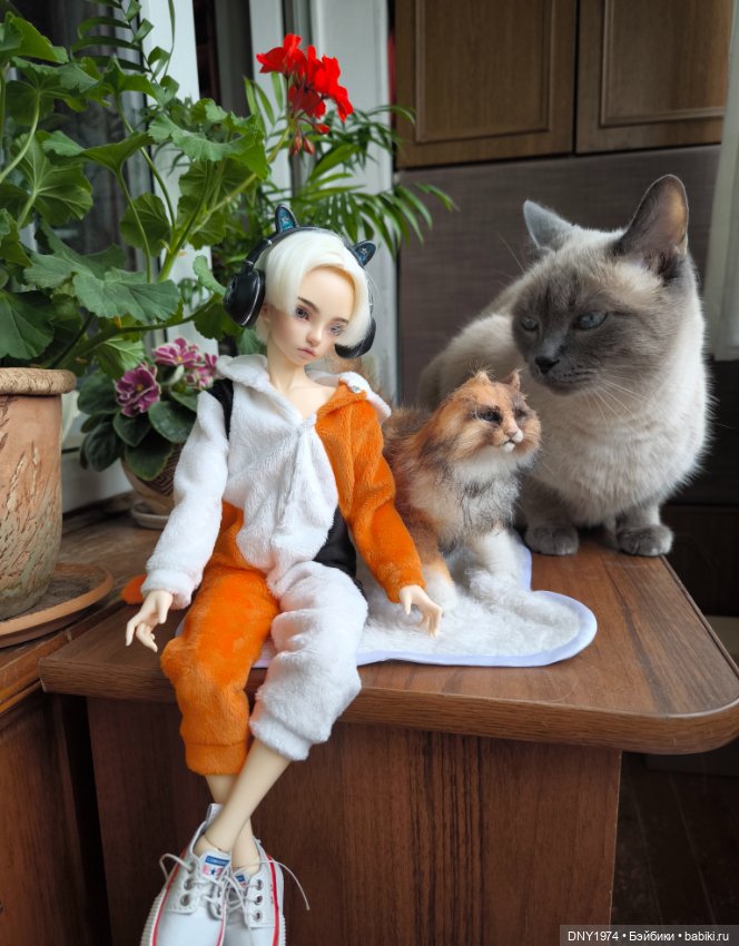 Алан и котики — Куклы Fairyland (ФэйриЛэнд): BJD (БЖД) (фото 3)