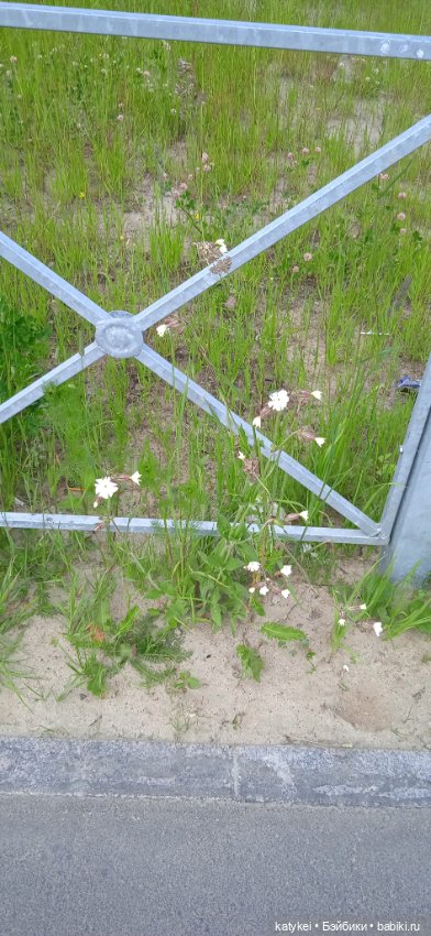 Летние цветы — Коллекционные игрушки и фигурки: Lego