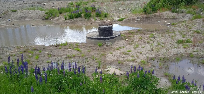 Летние цветы — Коллекционные игрушки и фигурки: Lego