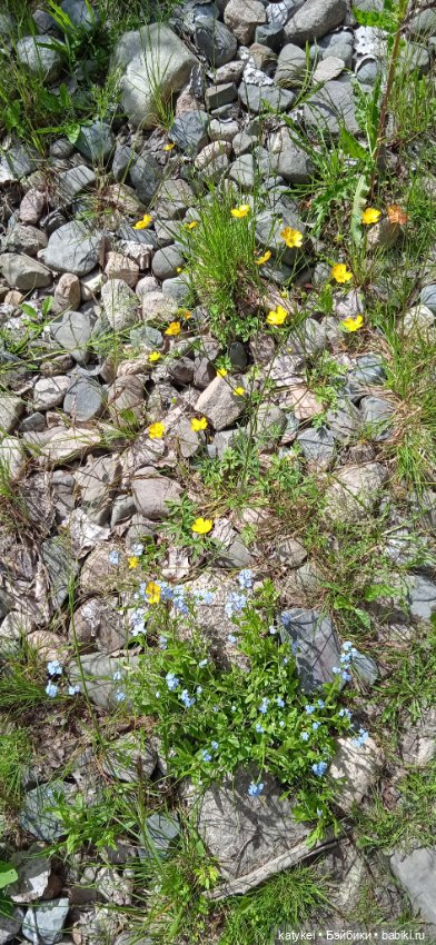 Летние цветы — Коллекционные игрушки и фигурки: Lego