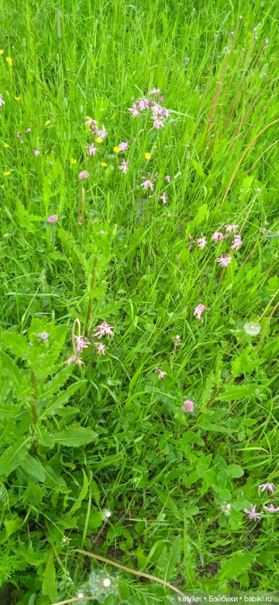 Летние цветы — Коллекционные игрушки и фигурки: Lego