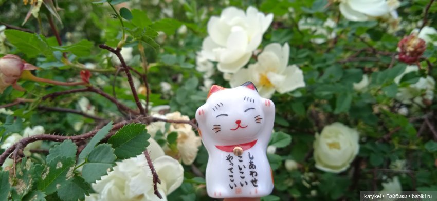 Летние цветы — Коллекционные игрушки и фигурки: Lego