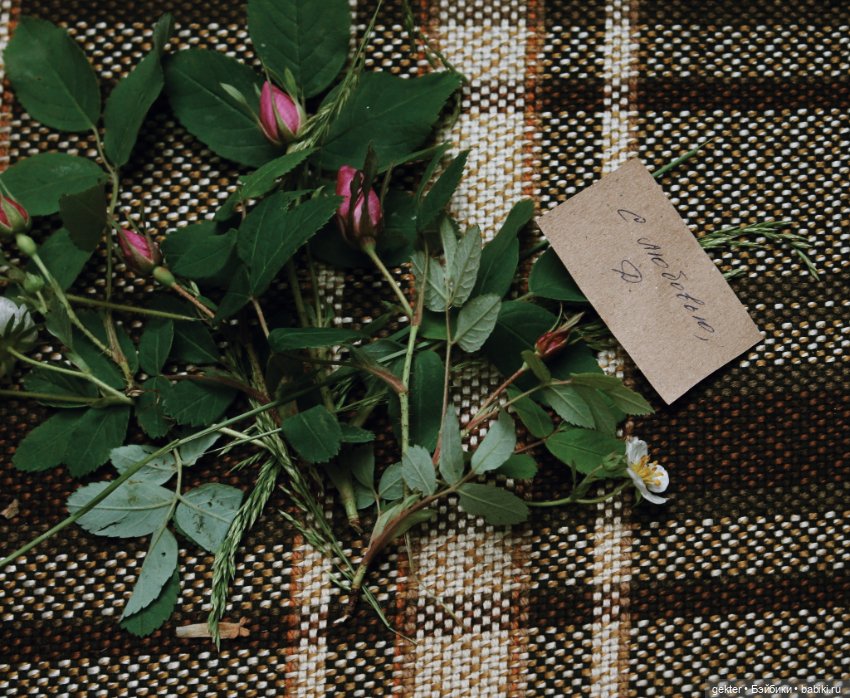 С любовью, Д. 🥀 — Гибридизация кукол BJD (БЖД): пересадка головы