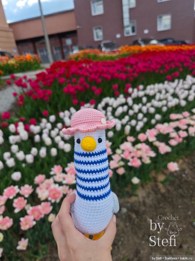 Получился у меня какой-то день чаек