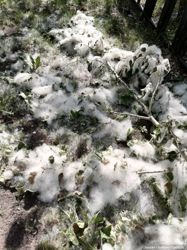 Буся, Бусинка — Гибриды шарнирных кукол (не БЖД): подбор тела