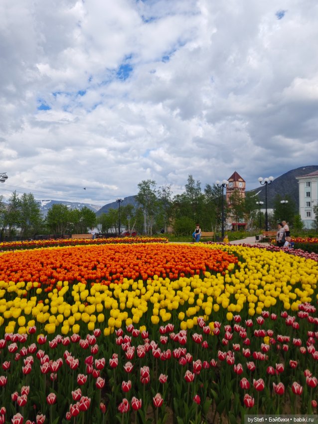 Получился у меня какой-то день чаек