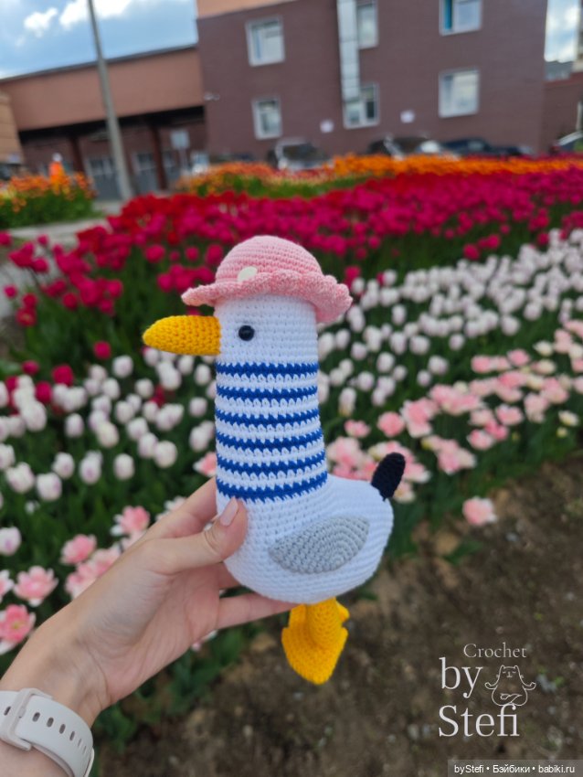 Получился у меня какой-то день чаек