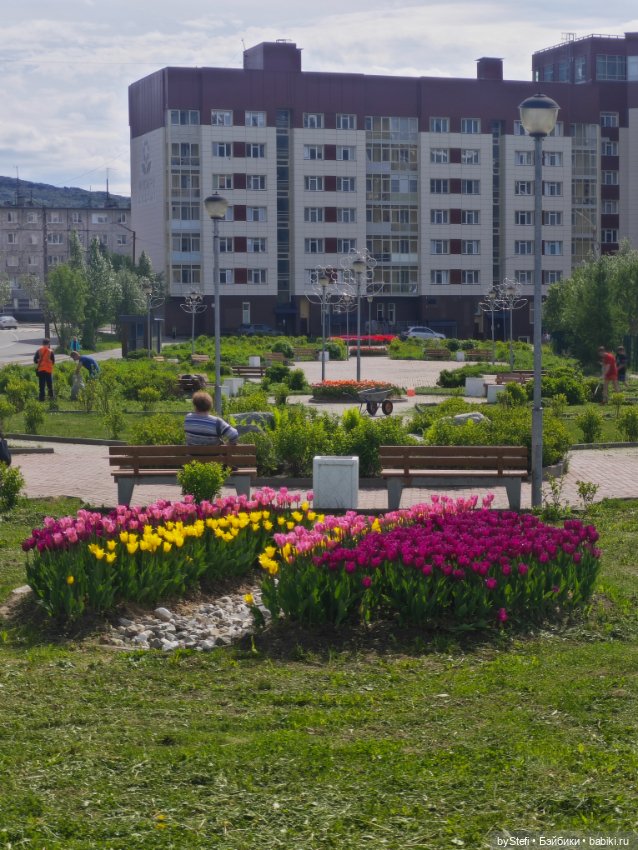 Получился у меня какой-то день чаек