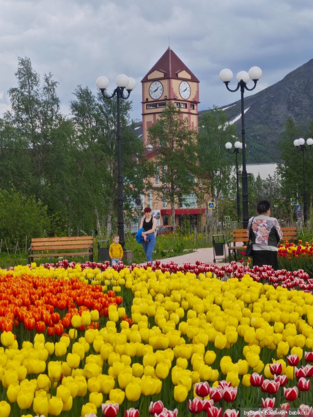 Получился у меня какой-то день чаек