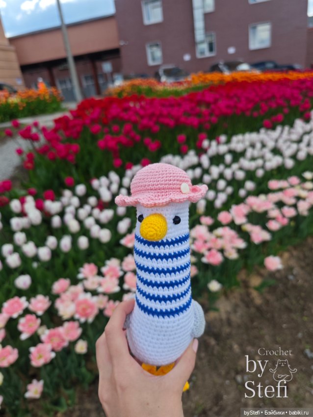 Получился у меня какой-то день чаек