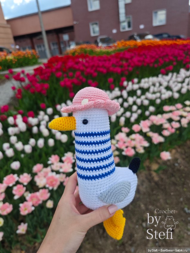 Получился у меня какой-то день чаек