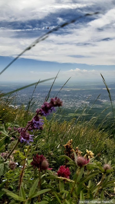 ИЗ ЖИЗНИ КУКОЛ Как они отдыхают (фото 9)