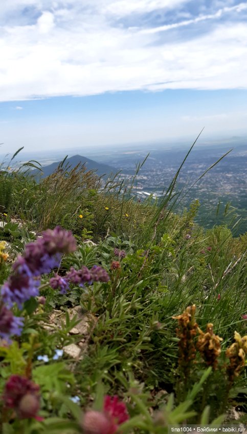 ИЗ ЖИЗНИ КУКОЛ Как они отдыхают (фото 6)