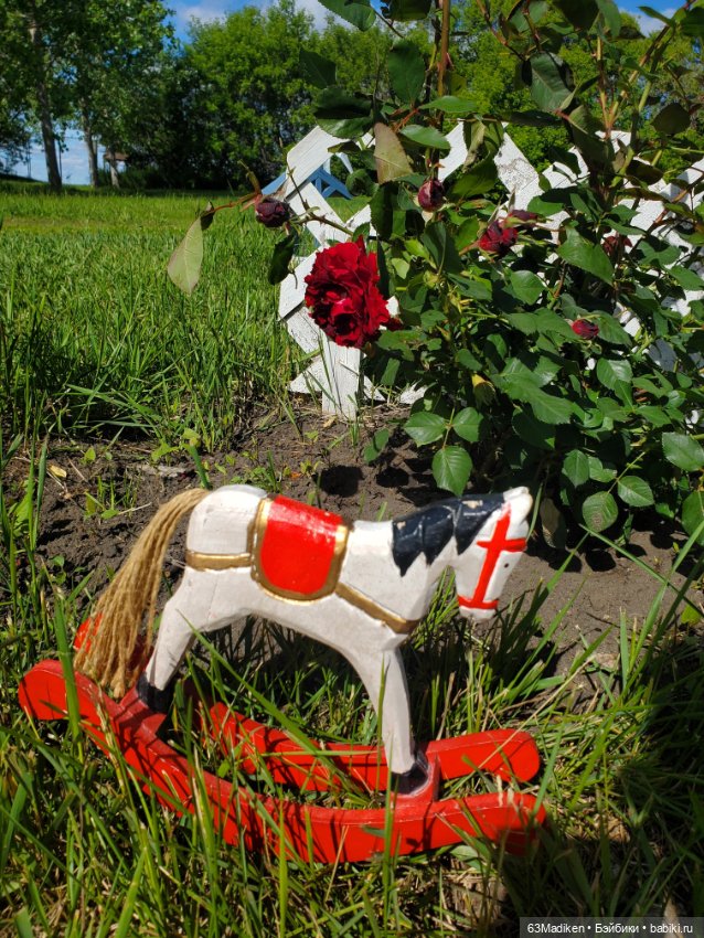 Июньский день — Куклы Sasha Morgenthaler (Саша Моргенталер): Trendon (фото 5)