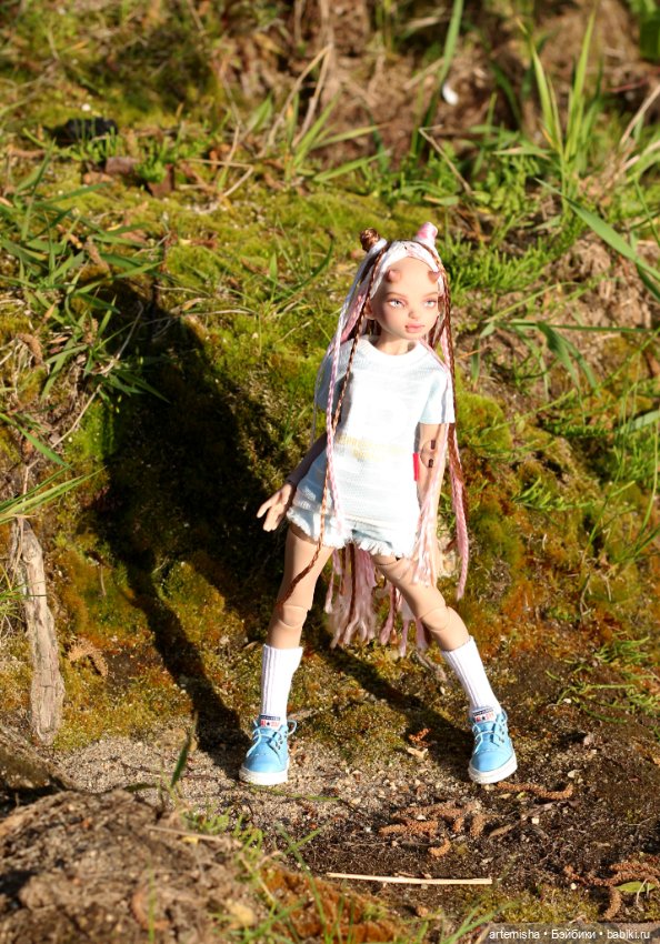 Беська на прогулке вечером