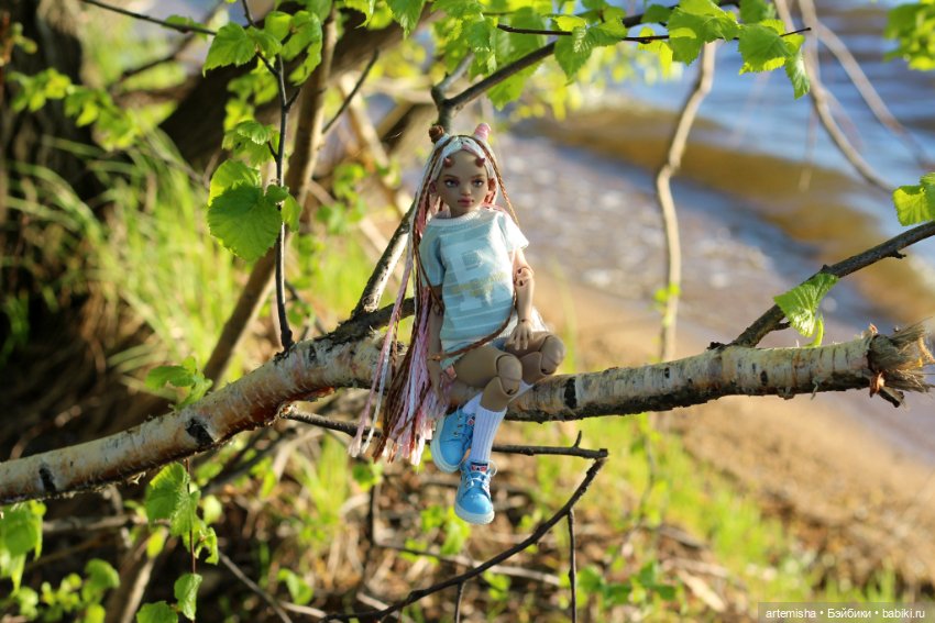 Беська на прогулке вечером (фото 7)