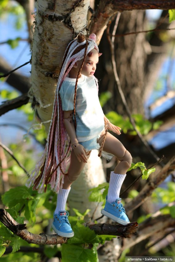 Беська на прогулке вечером (фото 5)