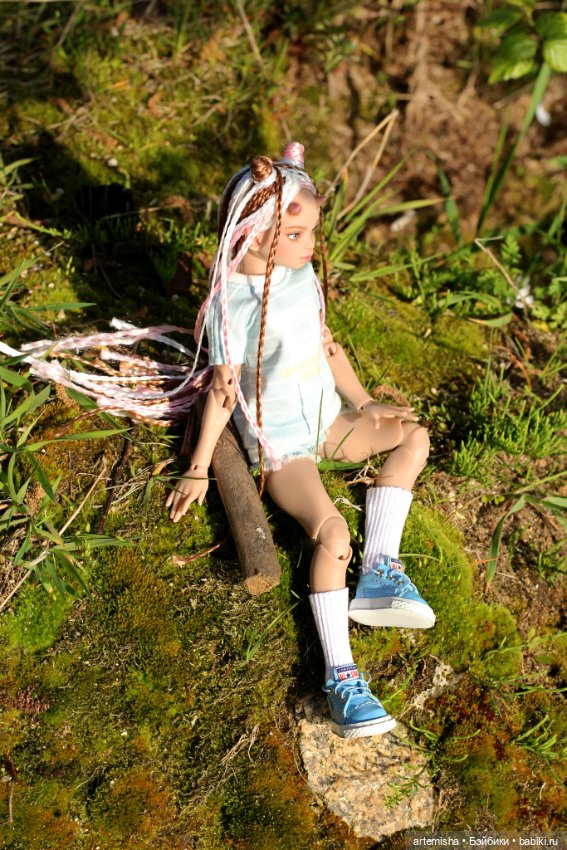 Беська на прогулке вечером (фото 2)