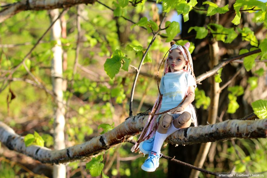 Беська на прогулке вечером (фото 6)