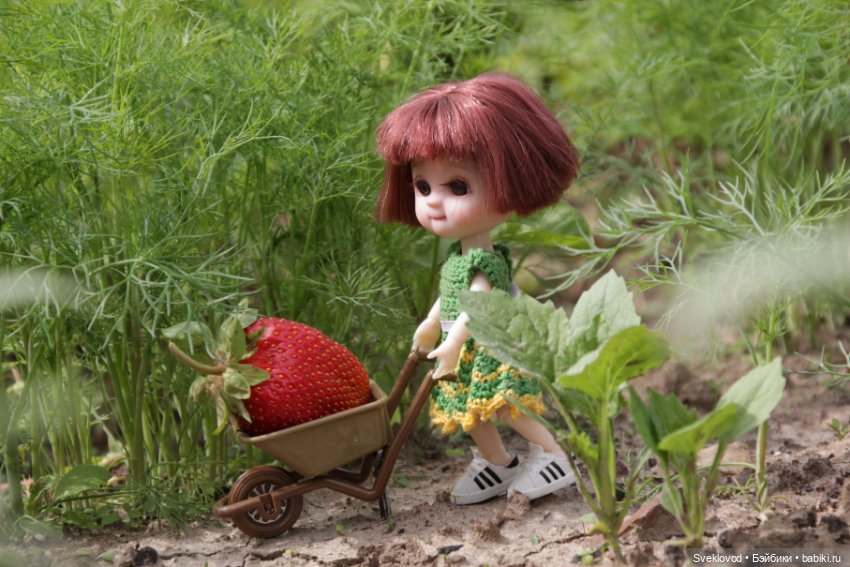 Бусинка на даче — Куклы Baboliy (Баболи (фото 7)