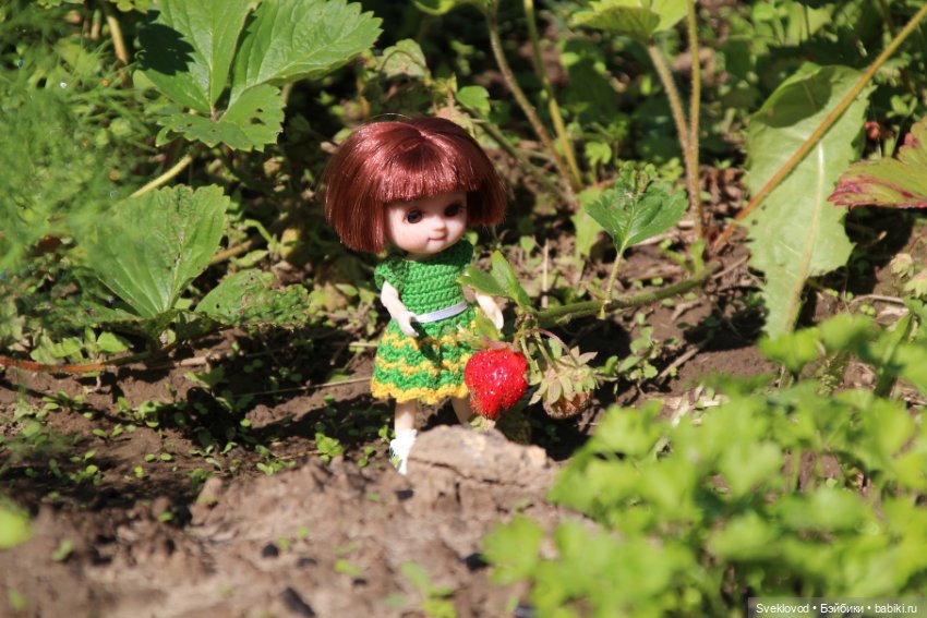 Бусинка на даче — Куклы Baboliy (Баболи (фото 5)