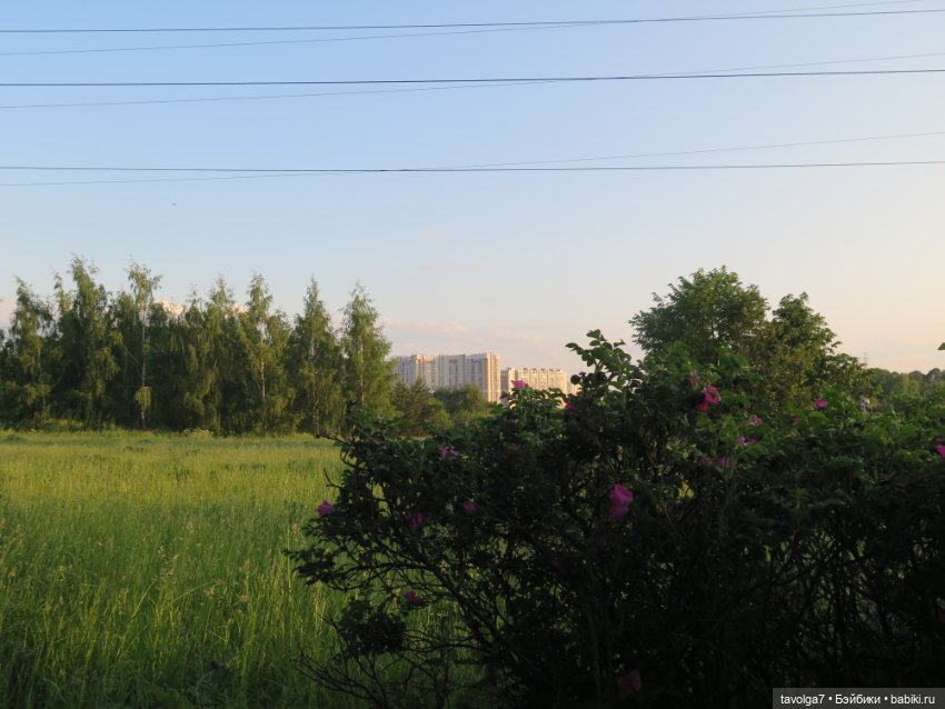 Завтра Лита — Куклы Kidz'n'Cats (Соня Хартман): шарнирные 46 см (фото 4)