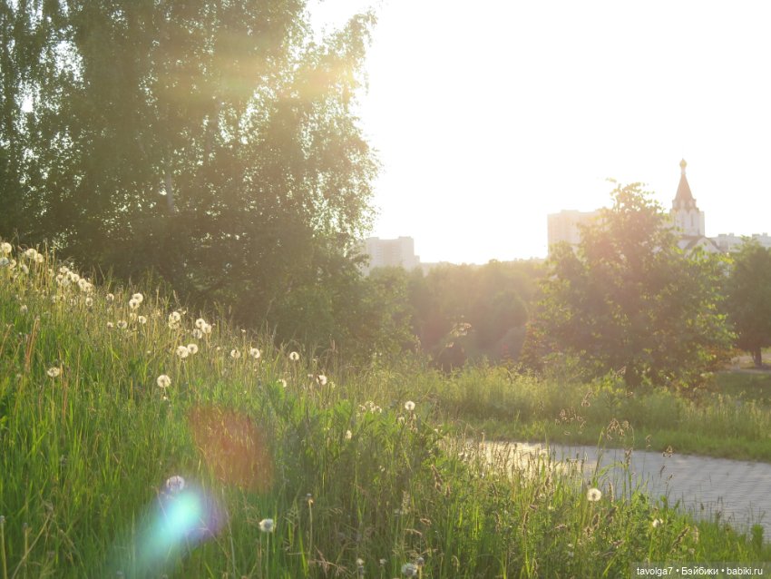 Завтра Лита — Куклы Kidz'n'Cats (Соня Хартман): шарнирные 46 см (фото 5)