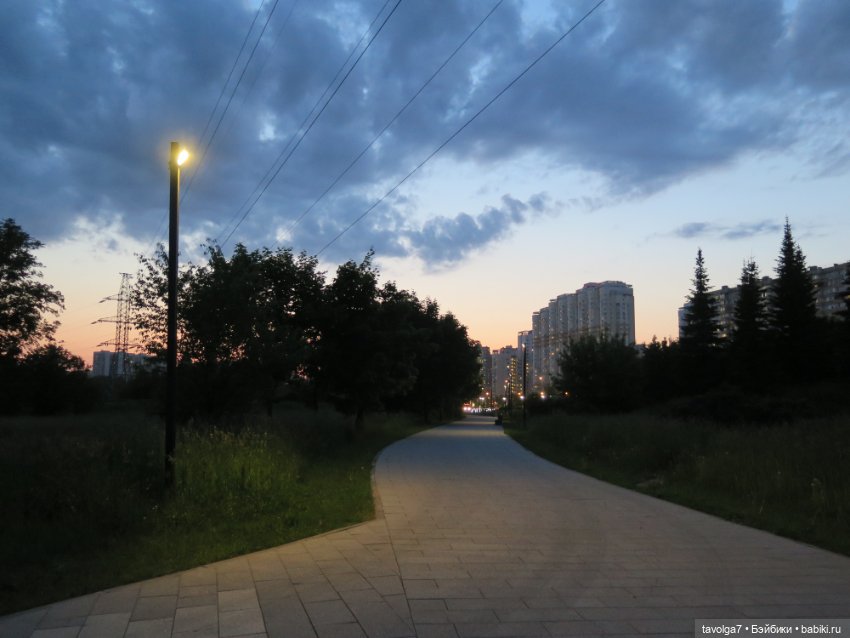 Завтра Лита — Куклы Kidz'n'Cats (Соня Хартман): шарнирные 46 см