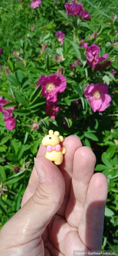 Шиповниковое мороженое и другие (фото 5)