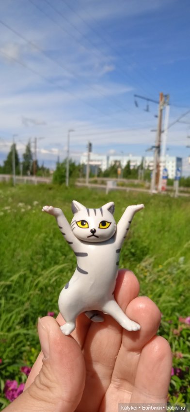 Шиповниковое мороженое и другие