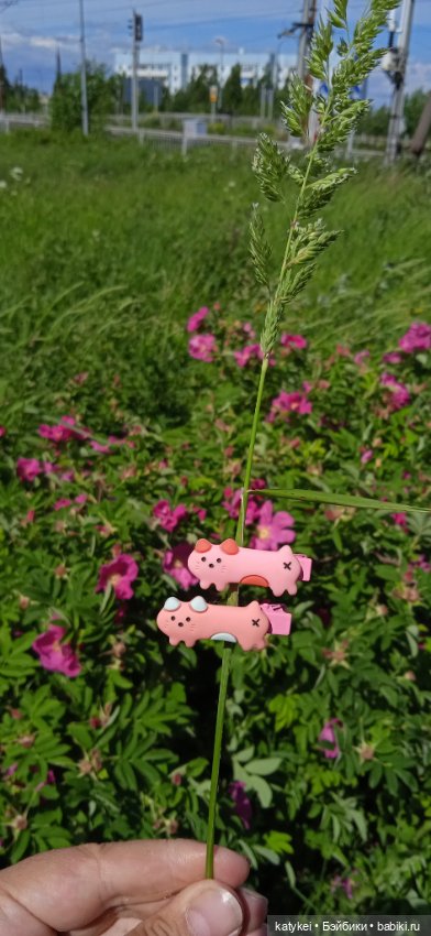 Шиповниковое мороженое и другие