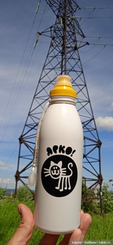 Шиповниковое мороженое и другие