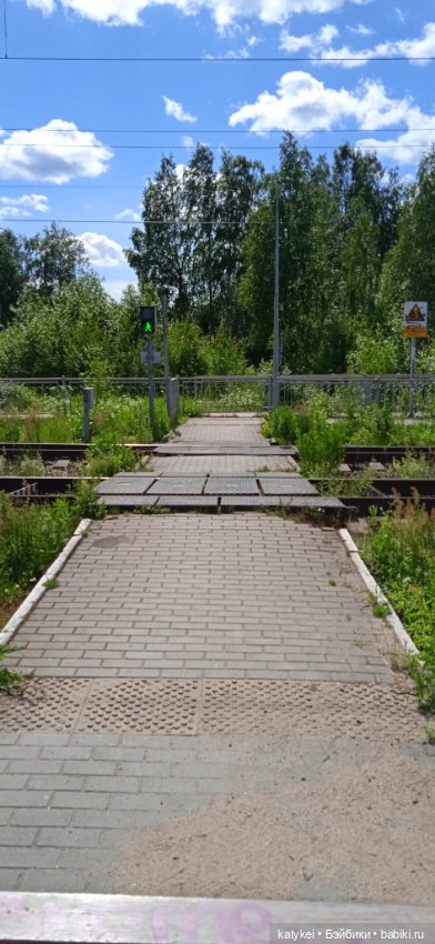 Шиповниковое мороженое и другие