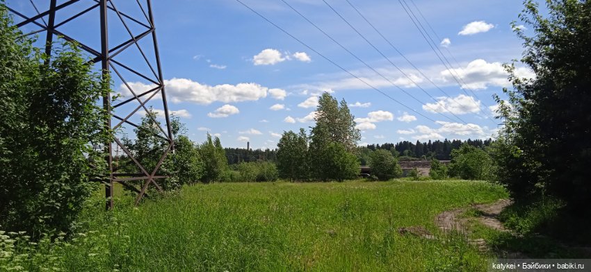 Шиповниковое мороженое и другие