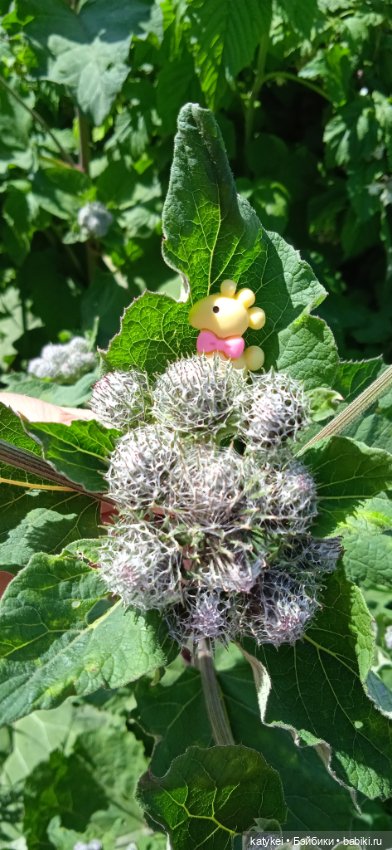 Шиповниковое мороженое и другие