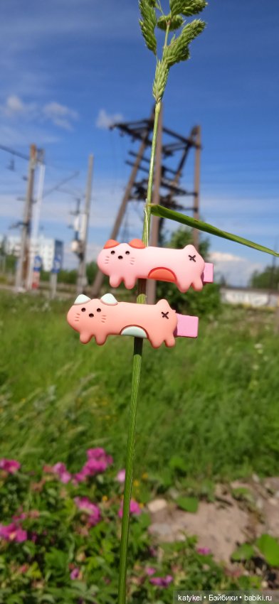 Шиповниковое мороженое и другие